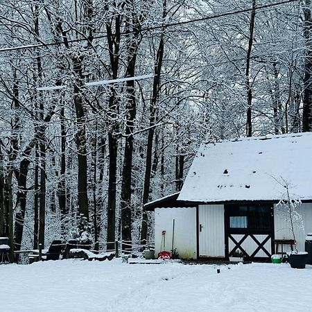 Romantyczna Chatka Pisarzowice  Экстерьер фото