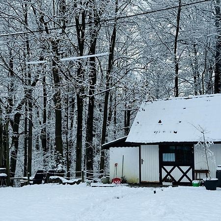 Вилла Romantyczna Chatka Pisarzowice  Экстерьер фото