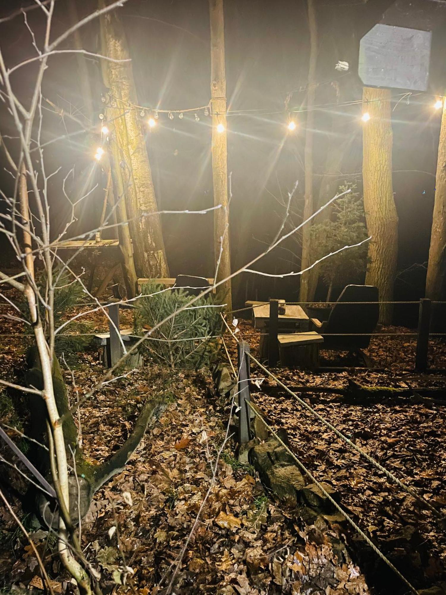 Romantyczna Chatka Pisarzowice  Экстерьер фото