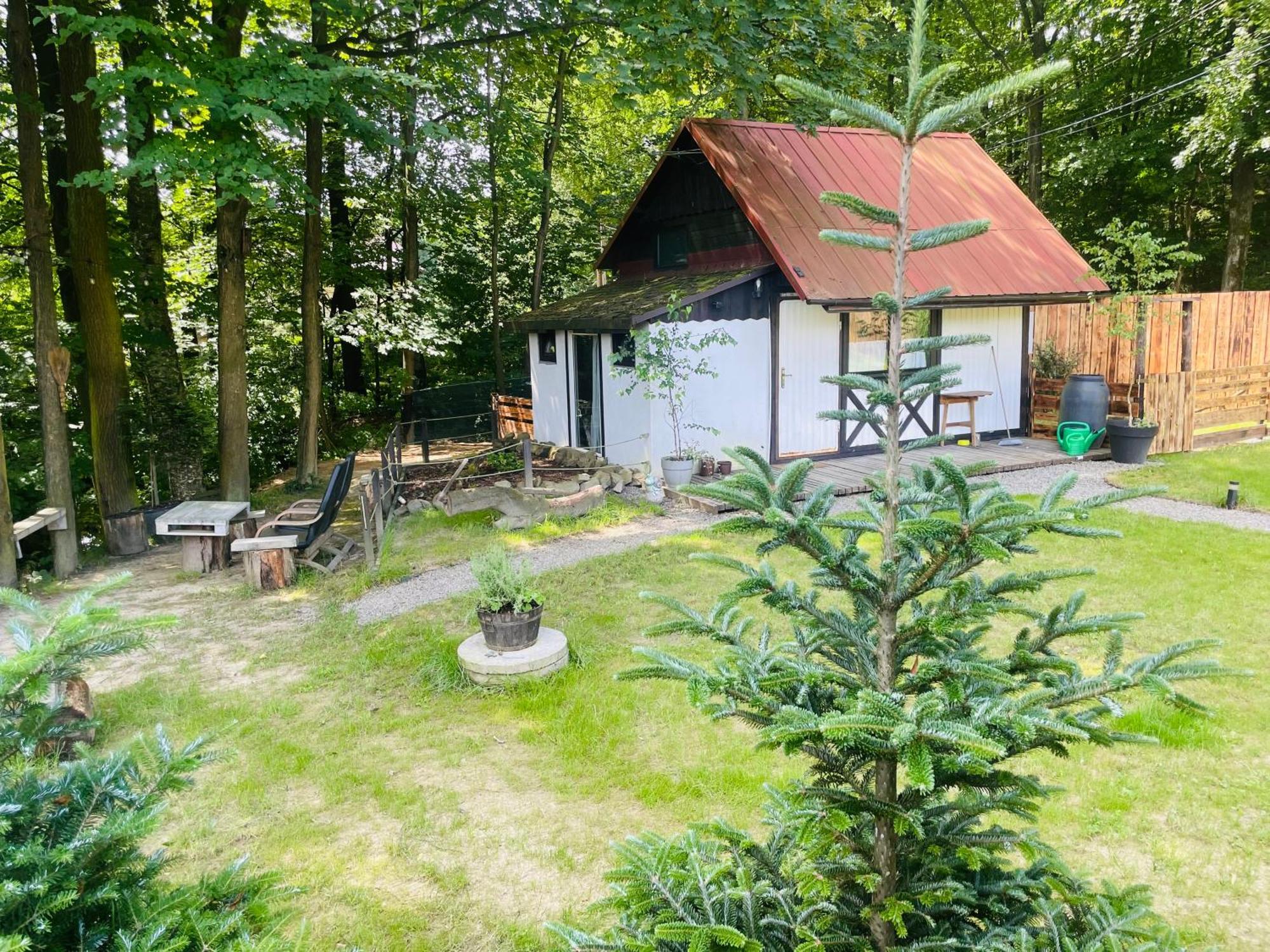 Romantyczna Chatka Pisarzowice  Экстерьер фото