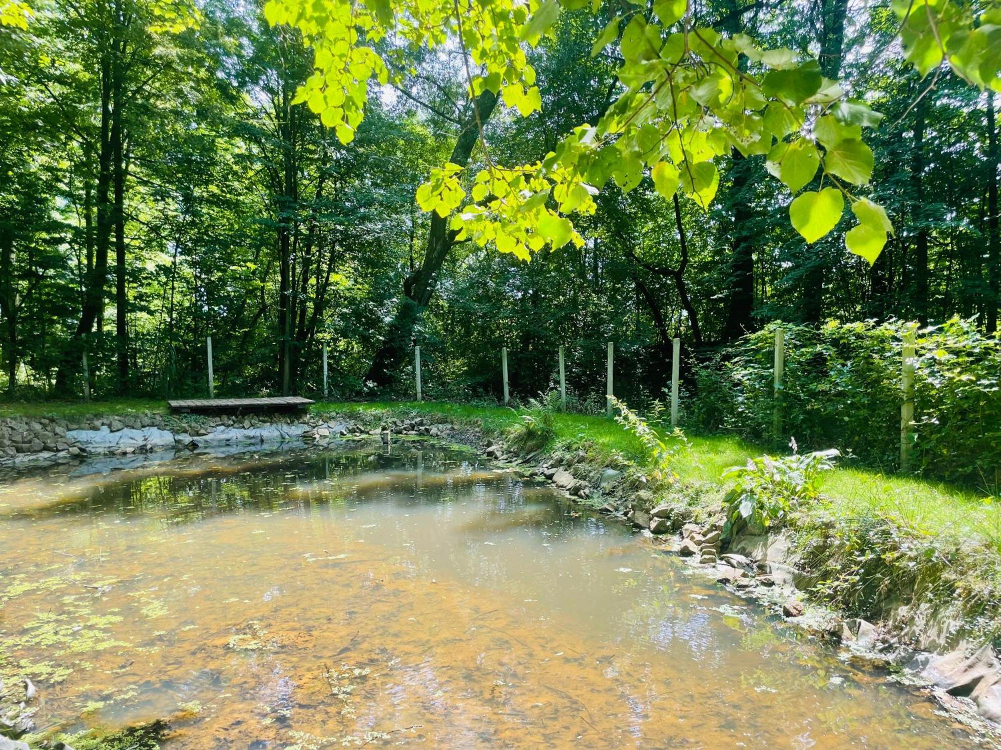 Romantyczna Chatka Pisarzowice  Экстерьер фото