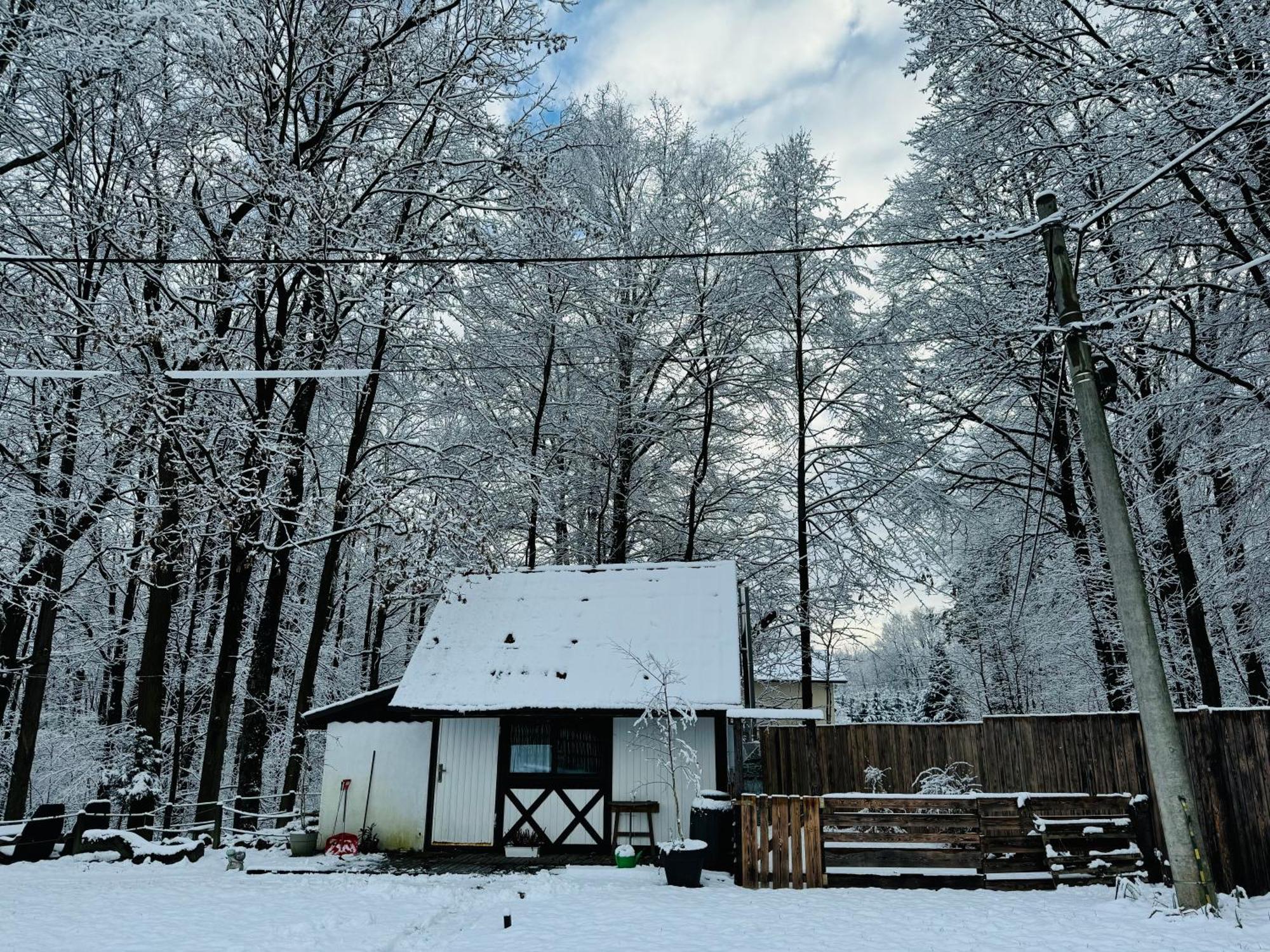 Вилла Romantyczna Chatka Pisarzowice  Экстерьер фото